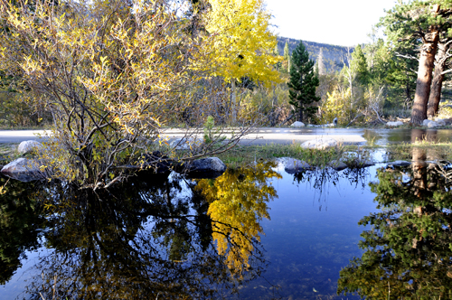 reflections at sprague lake at Rocky Mountain National Park